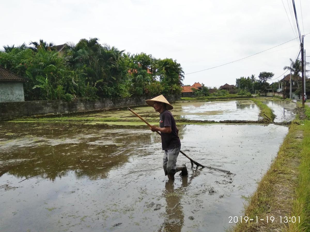 Bhuana Alit 2 Ubud Kültér fotó