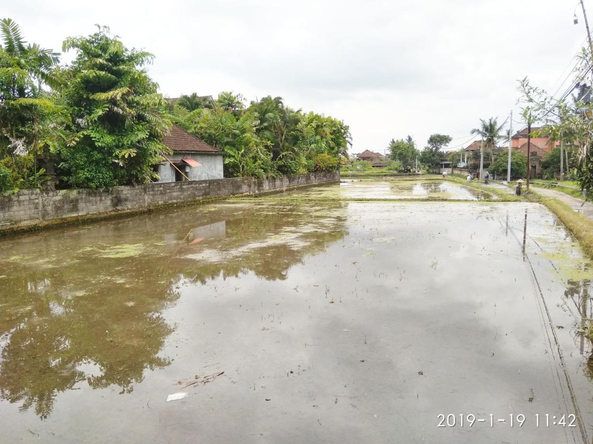 Bhuana Alit 2 Ubud Kültér fotó