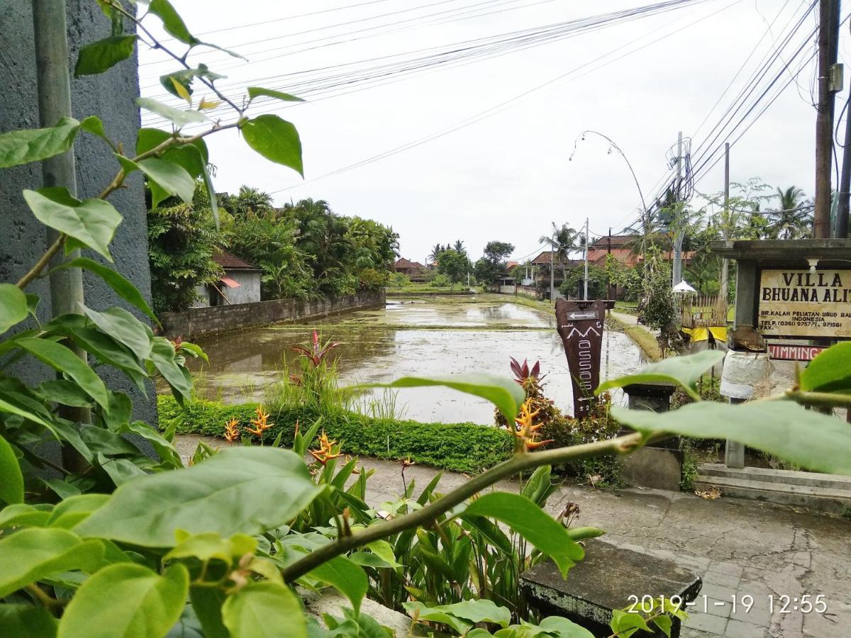 Bhuana Alit 2 Ubud Kültér fotó