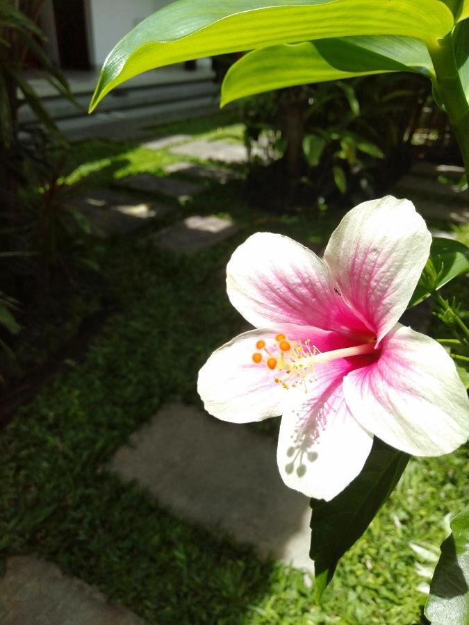 Bhuana Alit 2 Ubud Kültér fotó